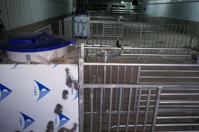四川電子飼喂站銷售案例
