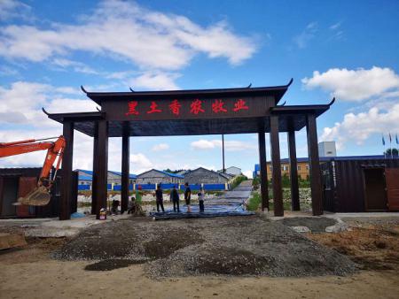 吉林5500母豬自繁育豬場電子飼喂站安裝案例