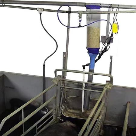 哺乳母豬粥料飼喂機(jī)